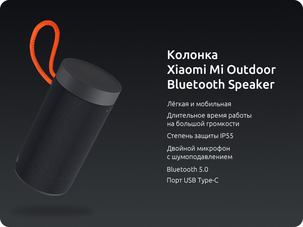 Колонка Xiaomi Mi Outdoor Bluetooth Speaker (черный)